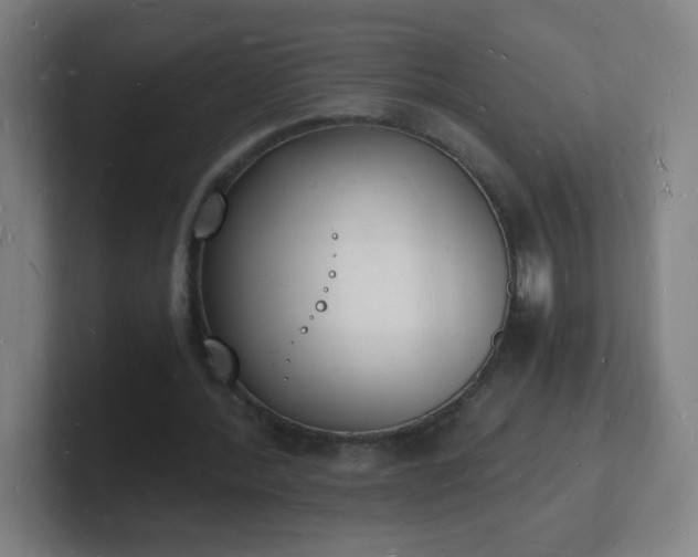 X0000101670388200807171340