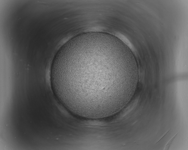 X0000101670389200807171340