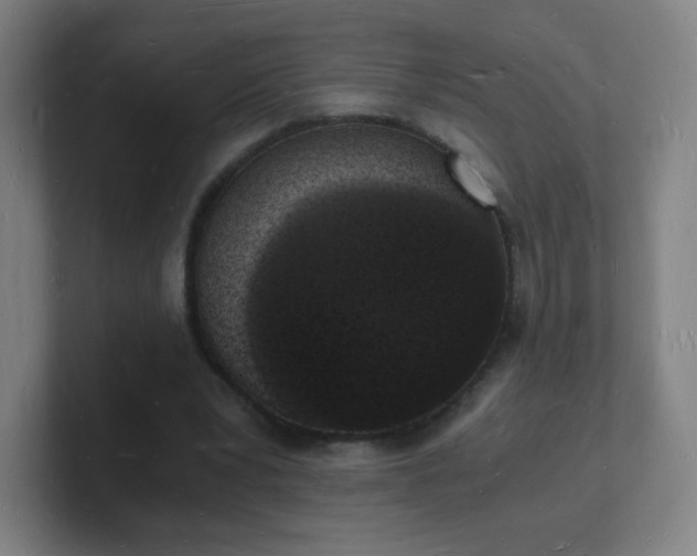 X0000101670391200807171340