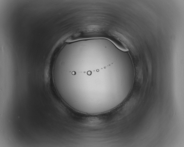 X0000101670392200807171340