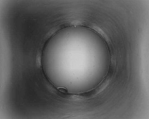X0000101670393200807171340