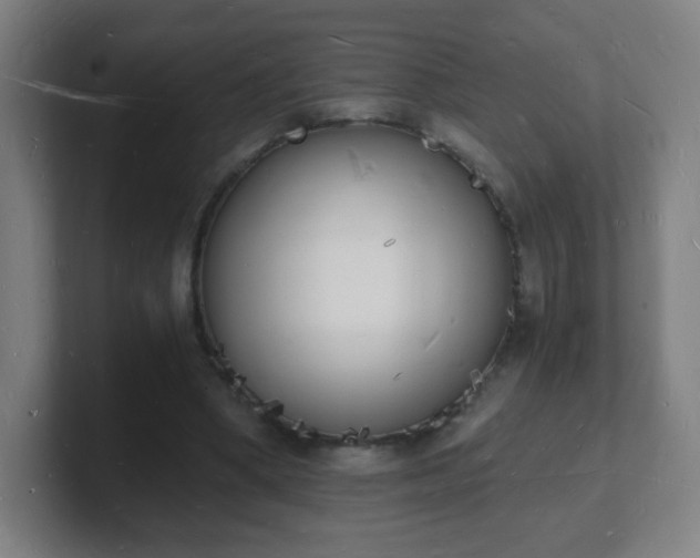 X0000101670394200807171340