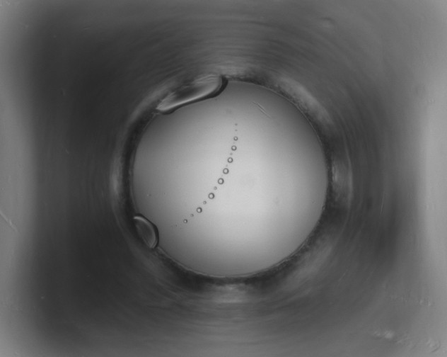 X0000101670396200807171340