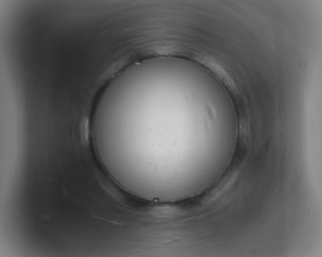 X0000101670397200807171340