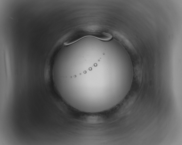 X0000101670400200807171340