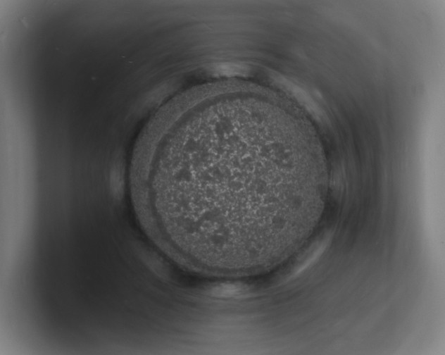 X0000101670402200807171340