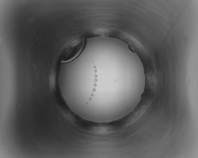 X0000101670404200807171340