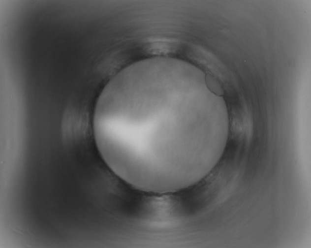 X0000101670411200807171340