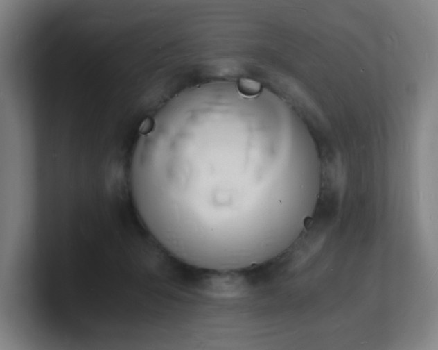 X0000101670415200807171340