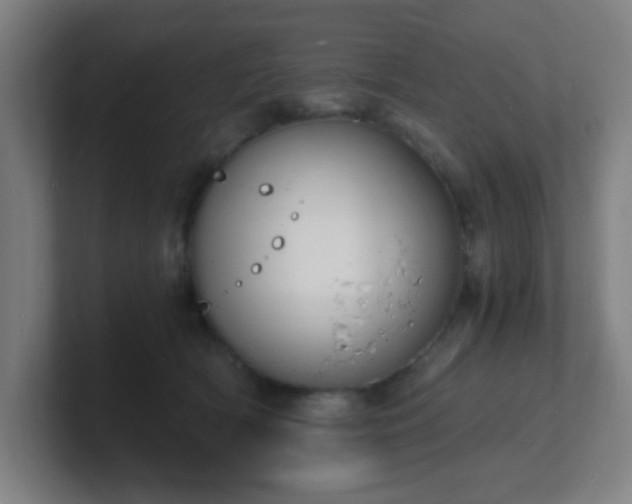 X0000101670418200807171340