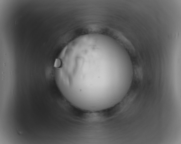 X0000101670419200807171340