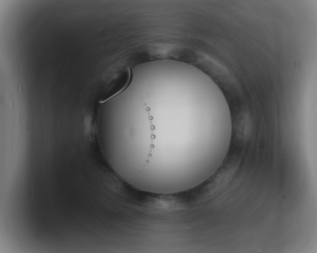 X0000101670420200807171340