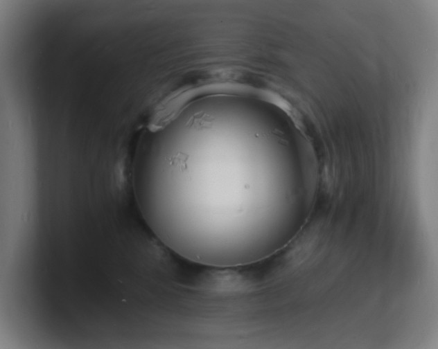X0000101670424200807171340