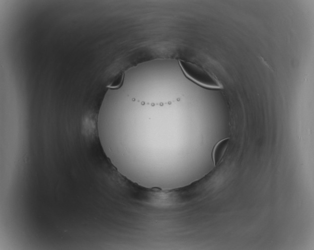 X0000101670432200807171340