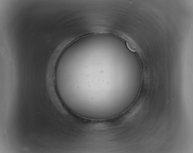X0000101670433200807171339