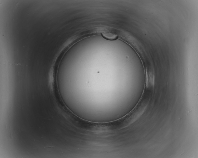 X0000101670435200807171339