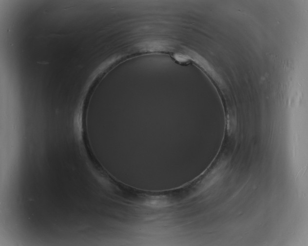 X0000101670438200807171339