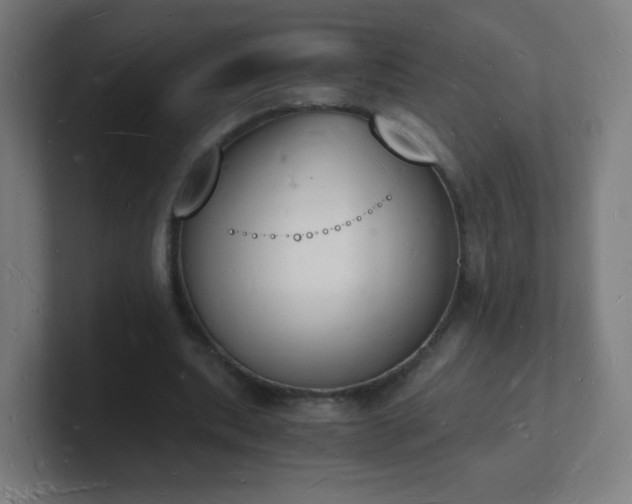X0000101670439200807171339