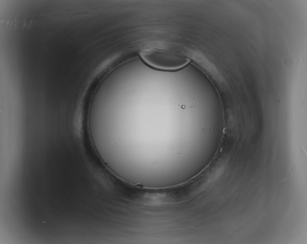 X0000101670440200807171339