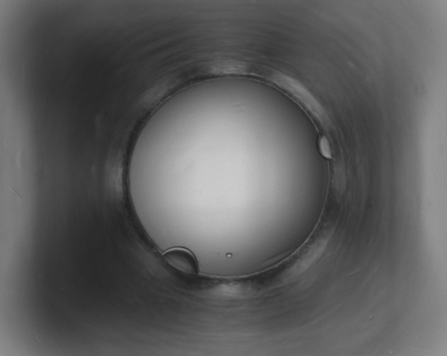 X0000101670441200807171339