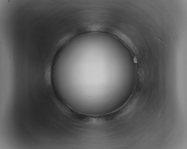 X0000101670442200807171339