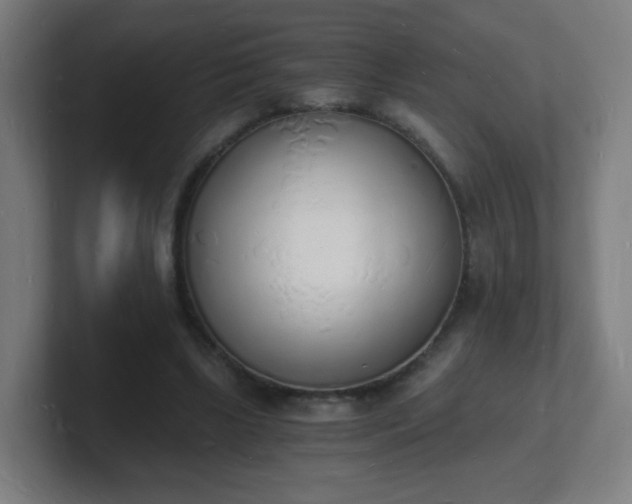 X0000101670443200807171339