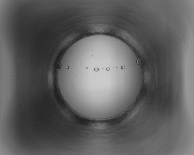 X0000101670444200807171339