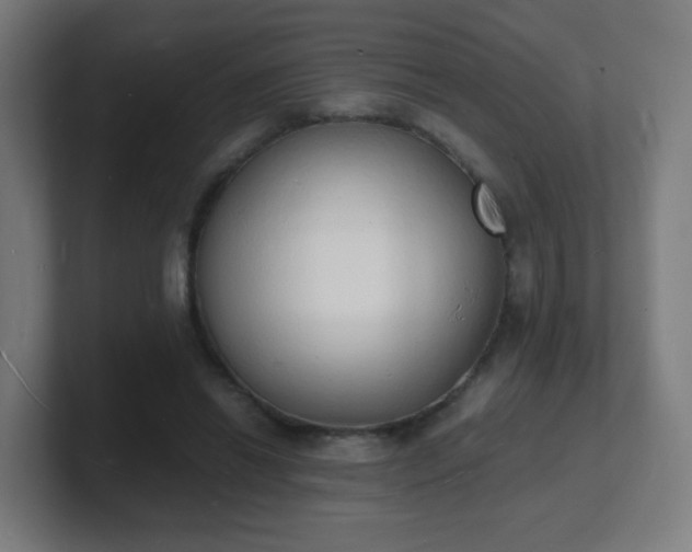 X0000101670446200807171339