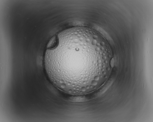 X0000101670449200807171339