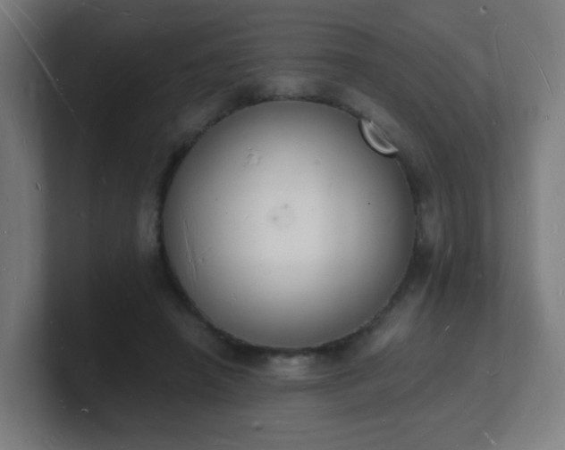 X0000101670450200807171339