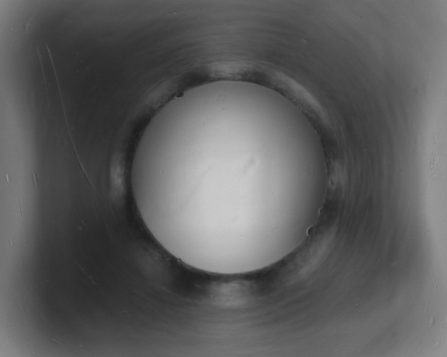 X0000101670452200807171339