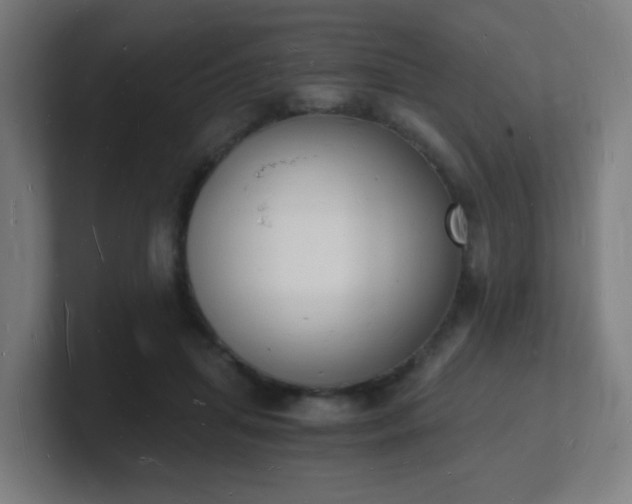 X0000101670455200807171339