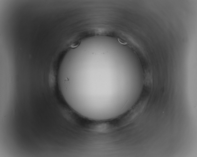 X0000101670456200807171339