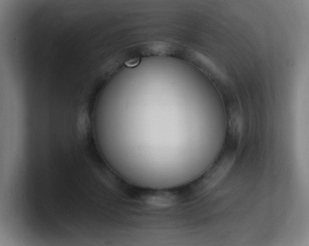 X0000101670459200807171339