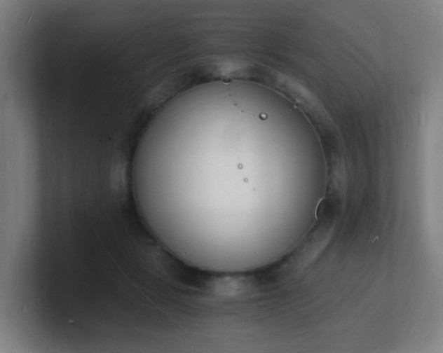 X0000101670461200807171339