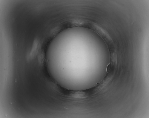X0000101670463200807171339