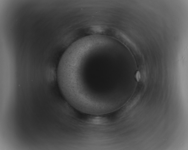 X0000101670467200807171339