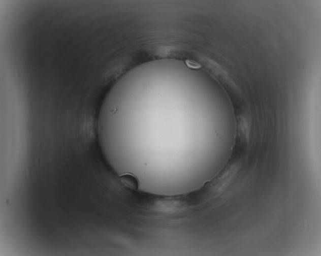 X0000101670470200807171339