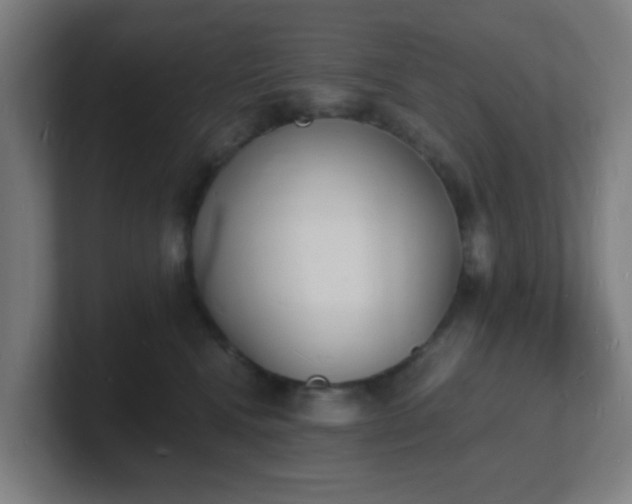 X0000101670472200807171340