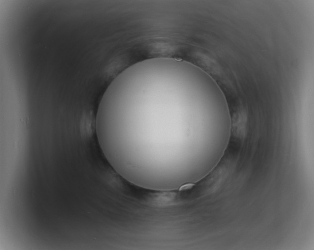 X0000101670474200807171340