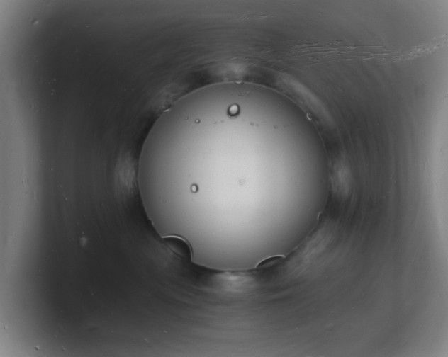 X0000101670477200807171340
