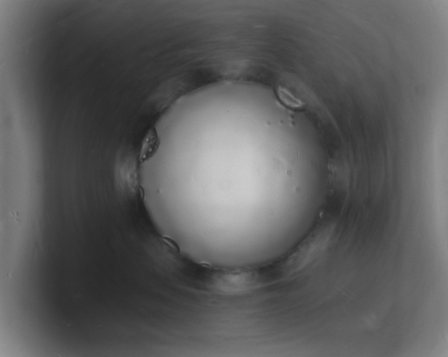 X0000101670479200807171340