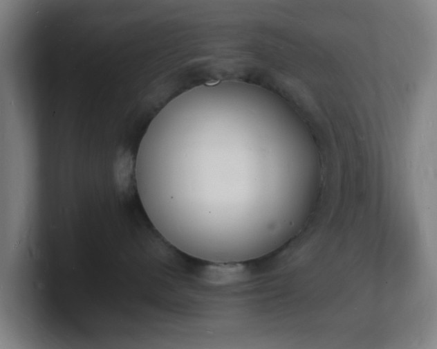 X0000101670480200807171340