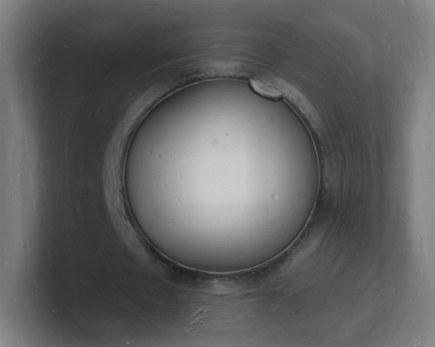 X0000101670481200807171339