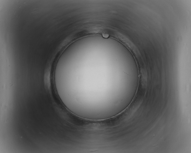 X0000101670482200807171339