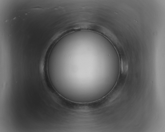 X0000101670483200807171339