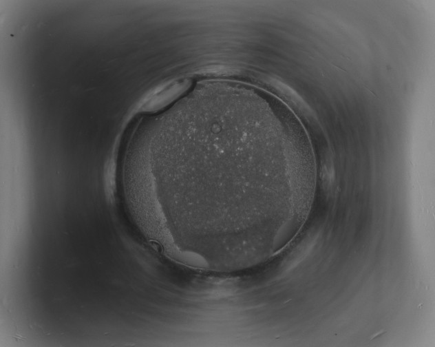 X0000101670484200807171339