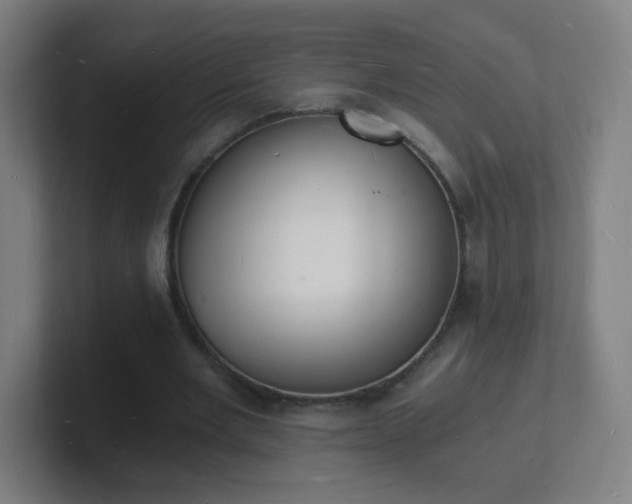 X0000101670485200807171339