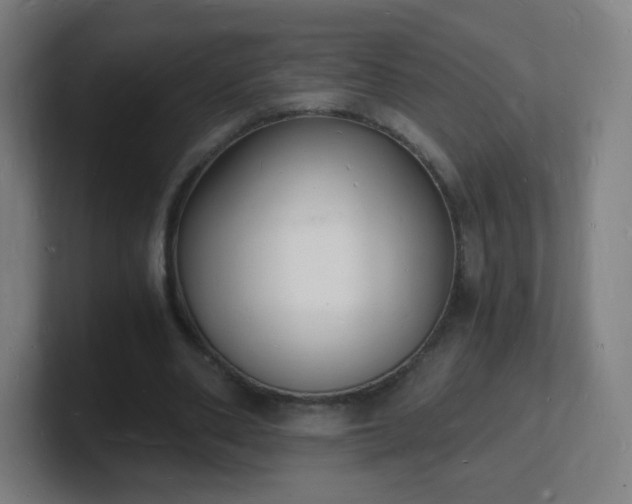 X0000101670486200807171339