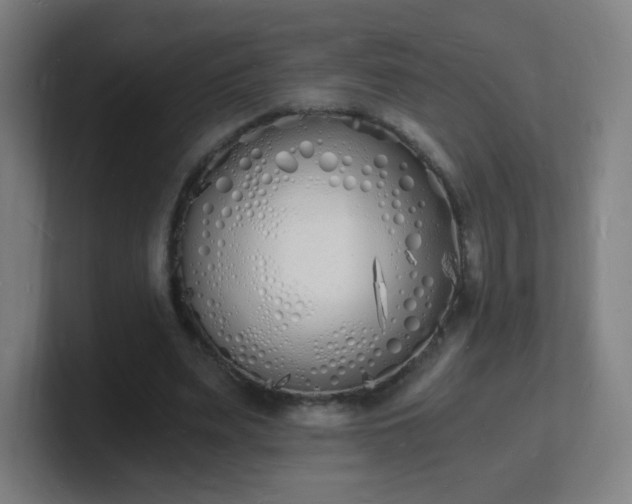 X0000101670487200807171339